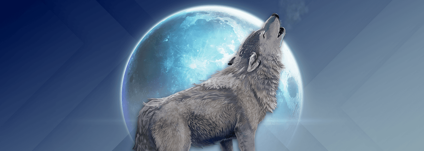 Mythic Wolf Slot Game Review