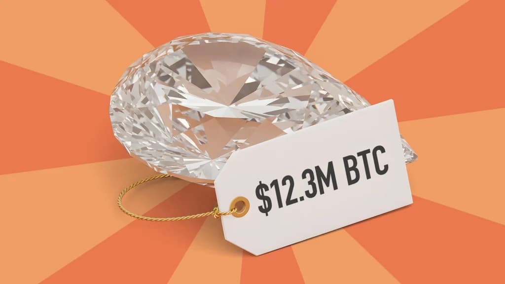 a diamond with a $12.3m BTC price tag
